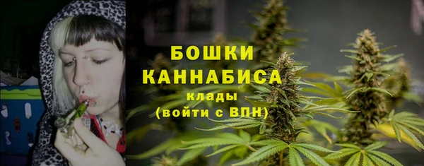 ALPHA PVP Горнозаводск
