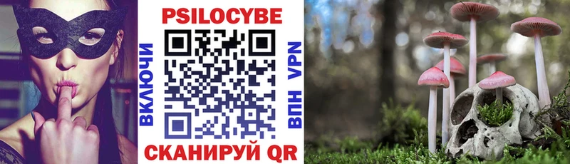 Галлюциногенные грибы Magic Shrooms  ссылка на мегу ТОР  Талица 